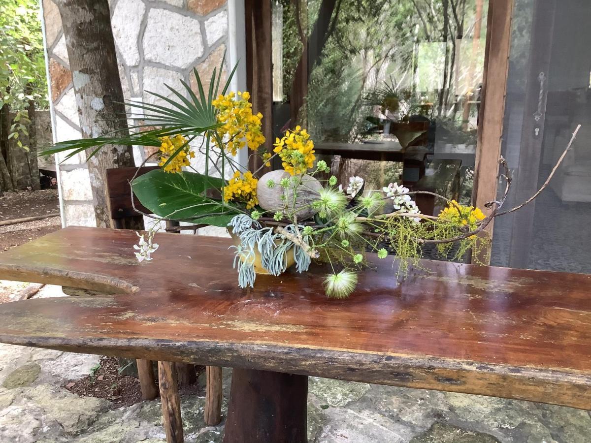 Escarabajo Rojo Bed & Breakfast Tulum Dış mekan fotoğraf