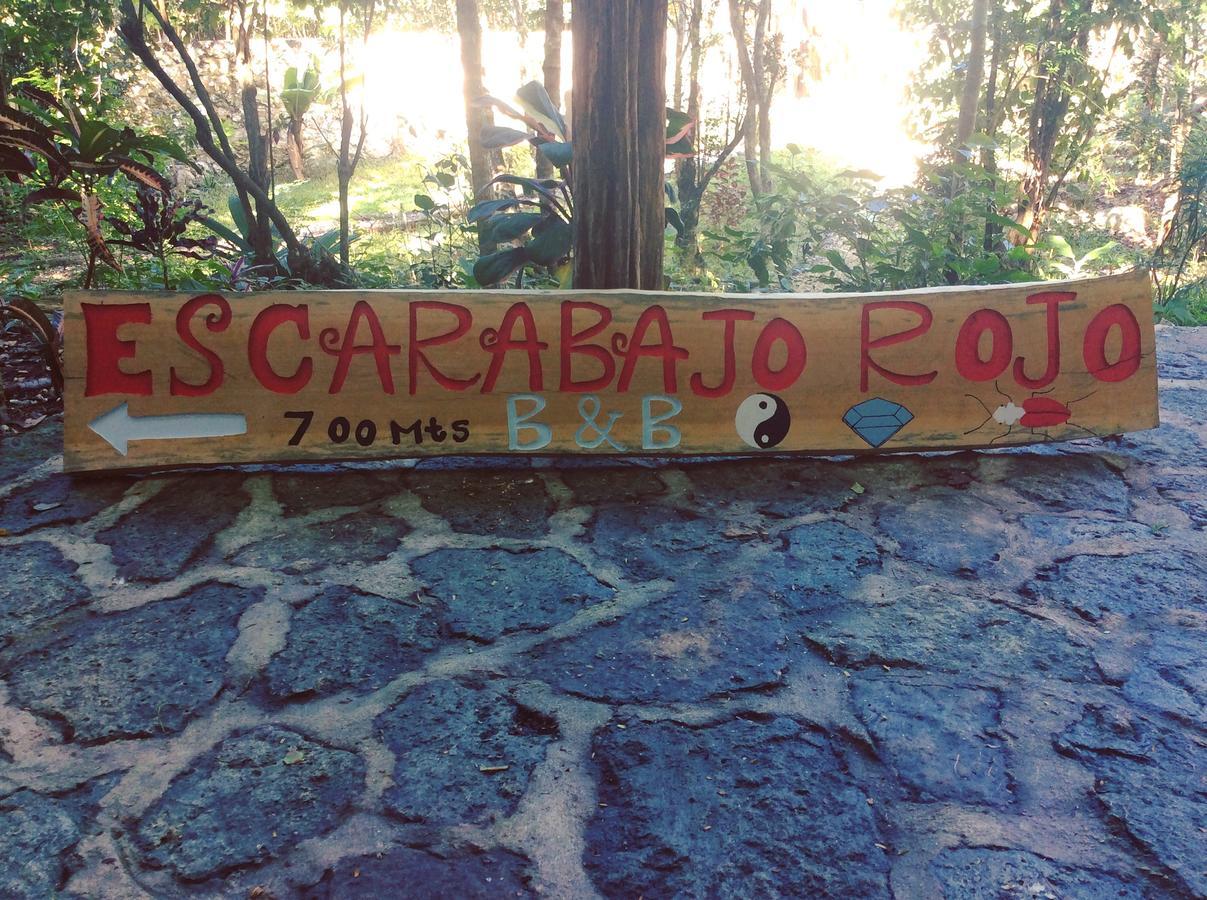 Escarabajo Rojo Bed & Breakfast Tulum Dış mekan fotoğraf