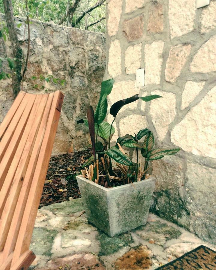 Escarabajo Rojo Bed & Breakfast Tulum Dış mekan fotoğraf